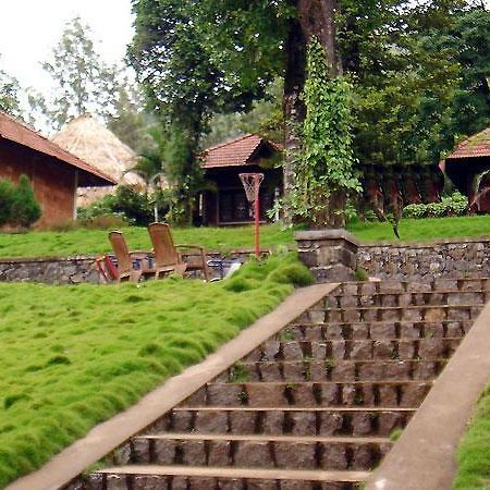Hotel Misty Woods Dharamshala Esterno foto