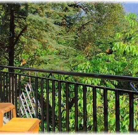 Hotel Misty Woods Dharamshala Esterno foto